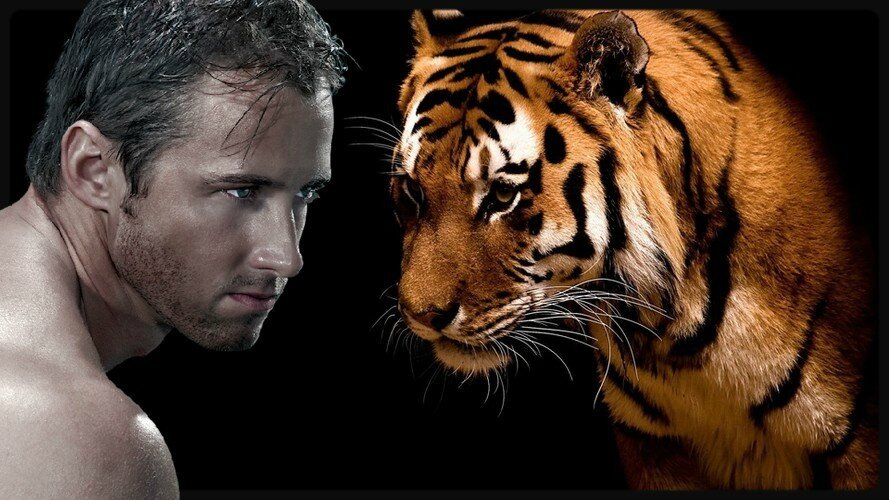 homme et tigre