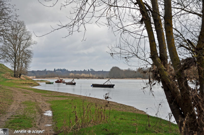 La Loire à Bou (en amont de Combleux et Orléans)