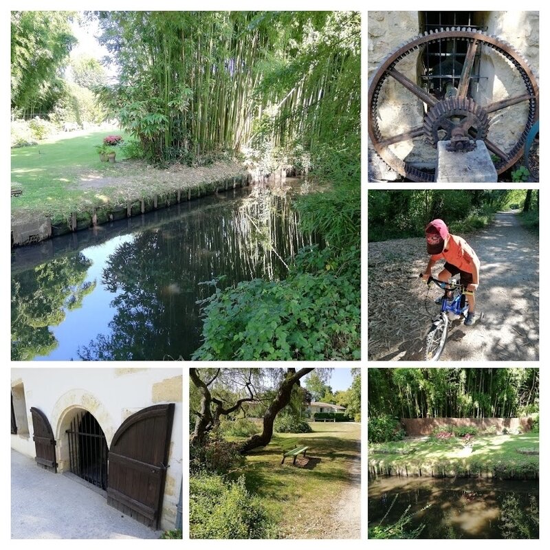 IMG_20180822_102448-COLLAGE