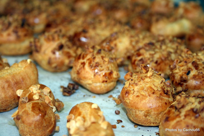 Les petits fours frais 09-05-09 (27)