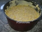 Gâteau aux fruits variés et à la crème 005