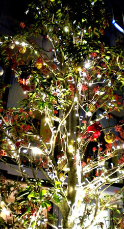 roppongi_Xmas_4