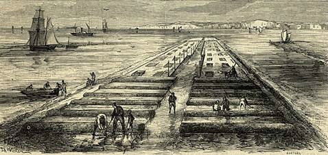Photo-premiers-parcs-a-huîtres-Crastorbe-Grand-Cès-1862-Lahillon-1866