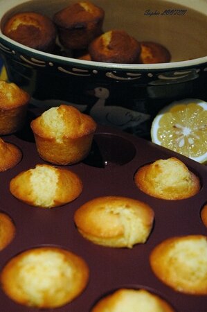 Muffins miel citron