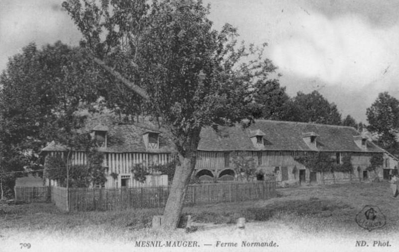 Le Mesnil-Mauger - ferme normande