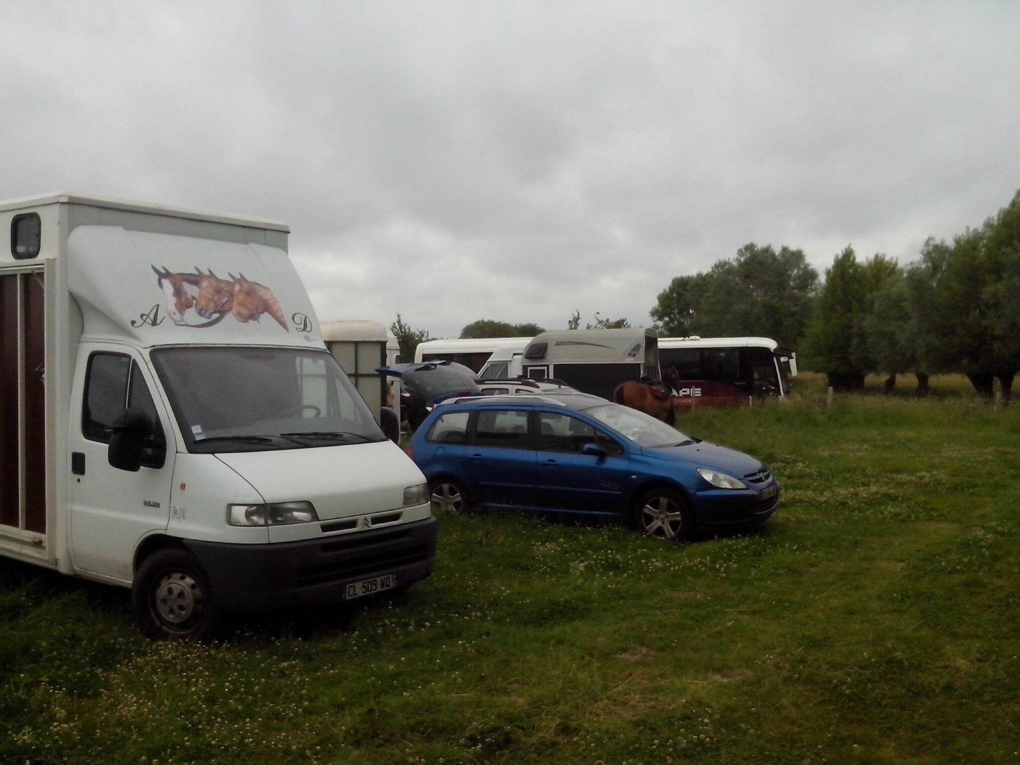 IMG_20150614_100322