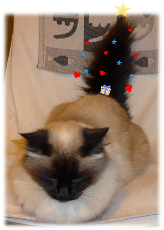 Queue de chat arbre de Noël