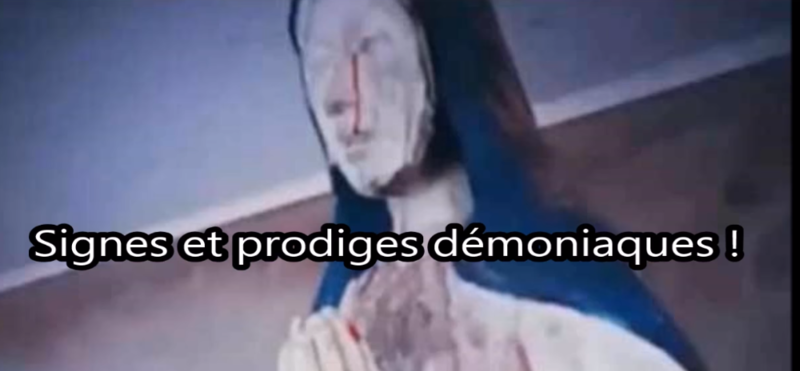 dvdvfd