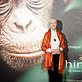 Le message de Jane Goodall, spécialiste mondiale des <b>chimpanzés</b>