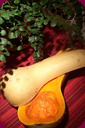 butternut