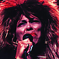 Tina Turner, une légende célébrée : hommages et musées
