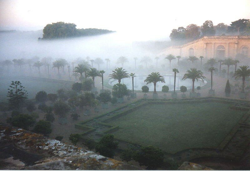 Versailles___Orangerie___brume