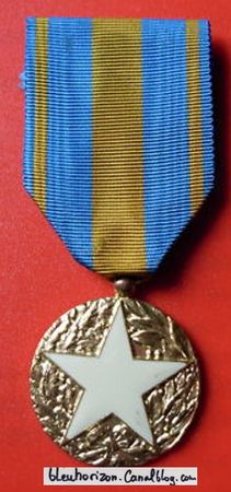 MEDAILLE___INSIGNE_DES_BLESSES_CIVILS
