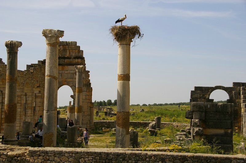 cb-ruines de Volubilis