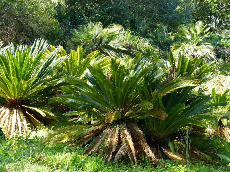 P1200143