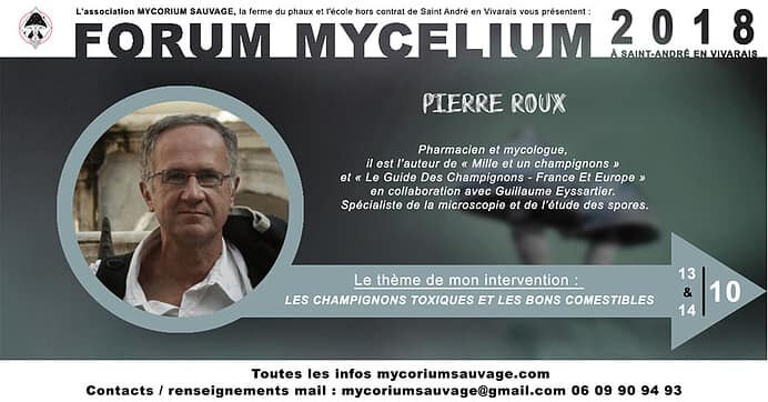 Pierre Roux