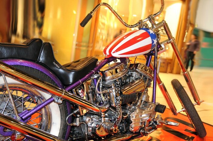 Harleys_CopyrightTasunkaphotos2014_13