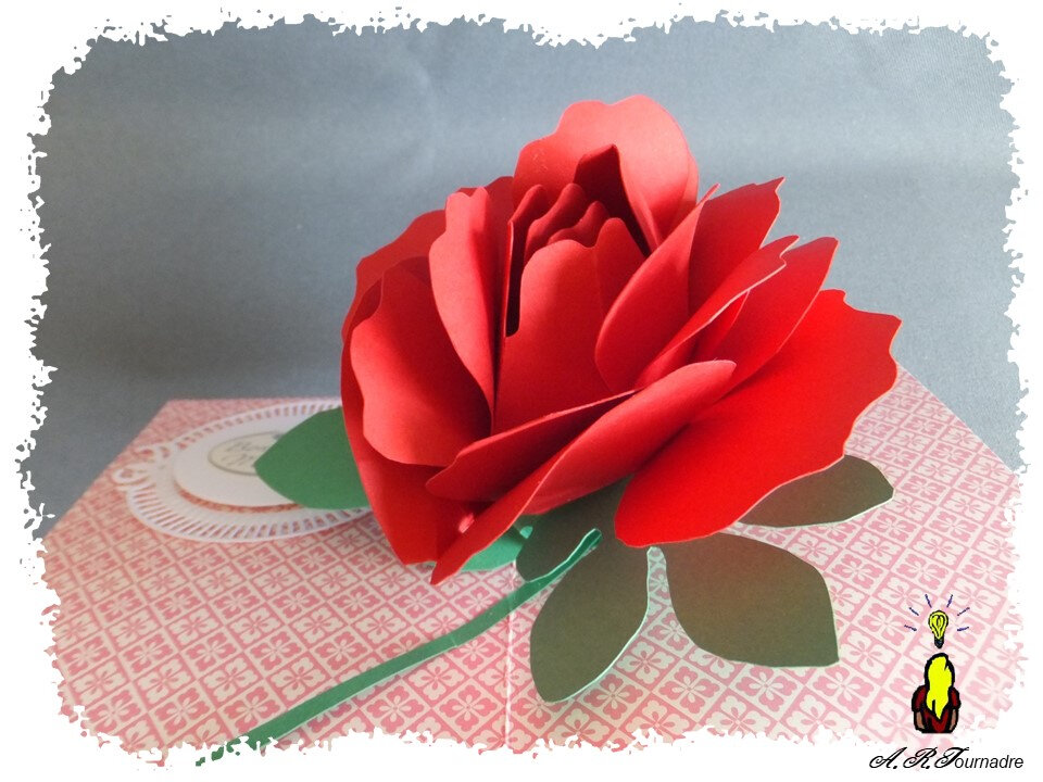 ART 2020 05 rose excentree 7