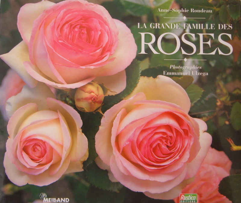 La grande famille des roses