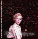 marilyn_monroe_HT_03