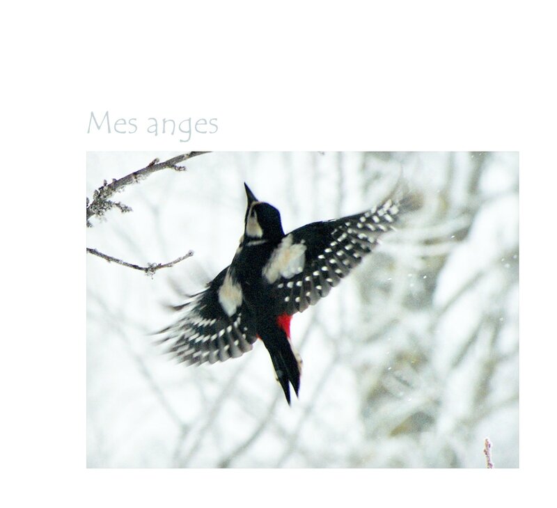 mes_anges_6