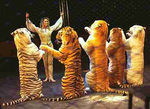 sarahtigers