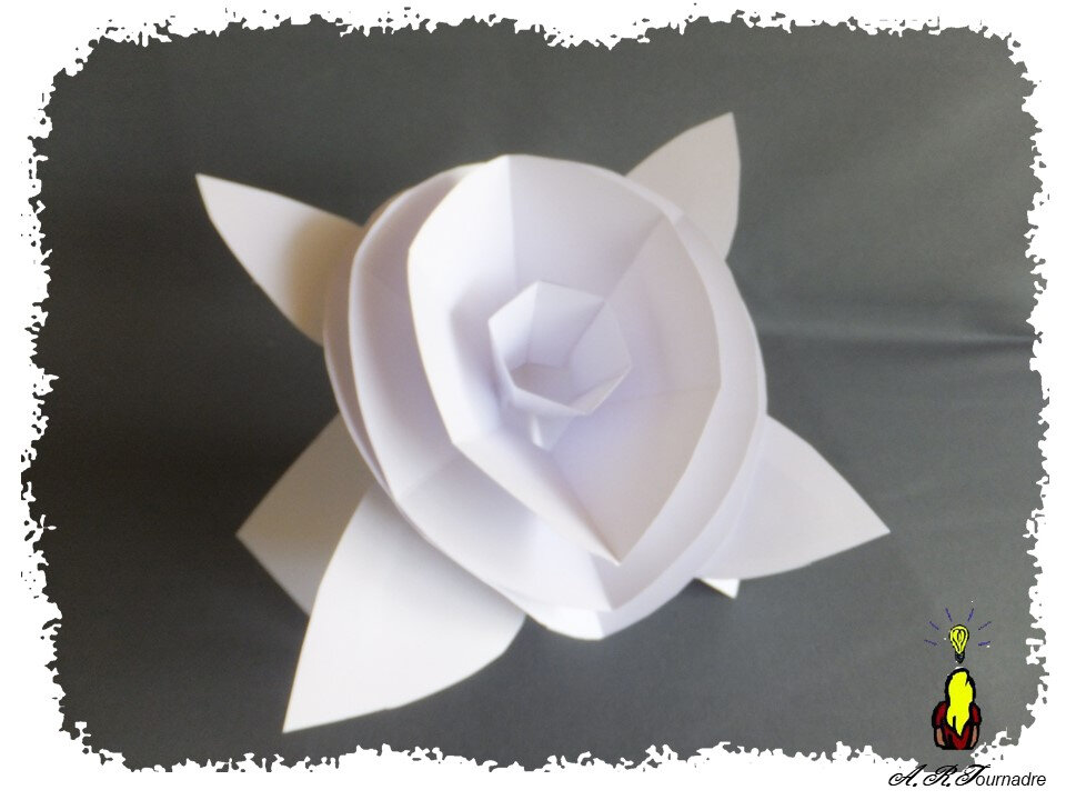 ART 2020 09 boite cadeau & fleur proto 2
