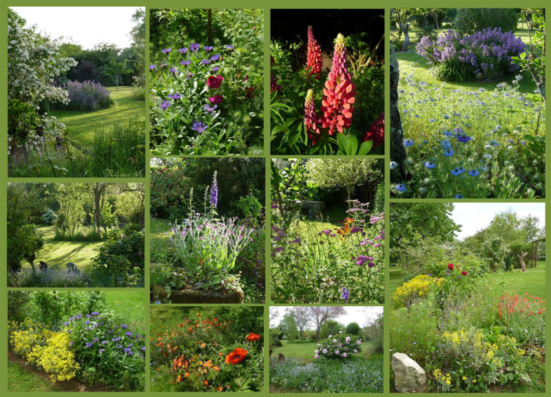 jardin de campagne 2