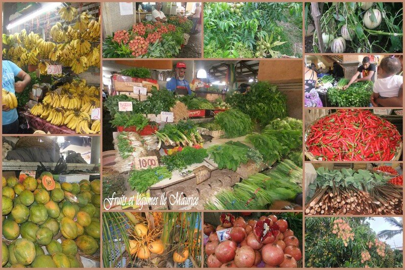 fruits et légumes maurice1