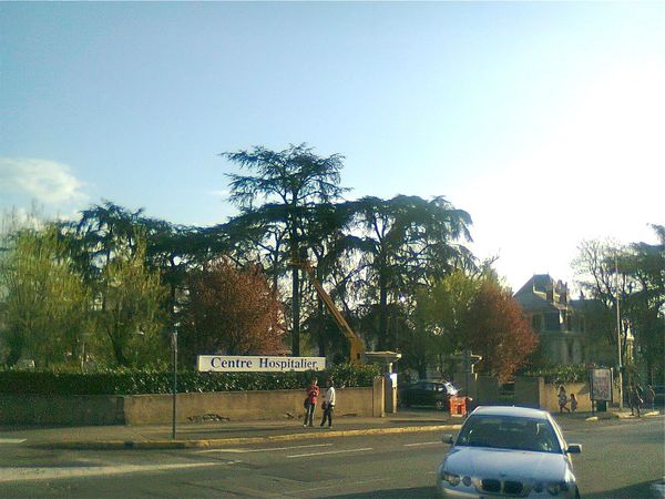 sapins hôpital 2