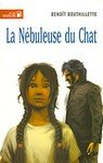N_buleuse_du_Chat
