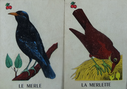 C1 Cartes Mariage muluBrok (3)