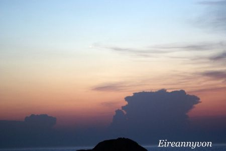 DSC00919