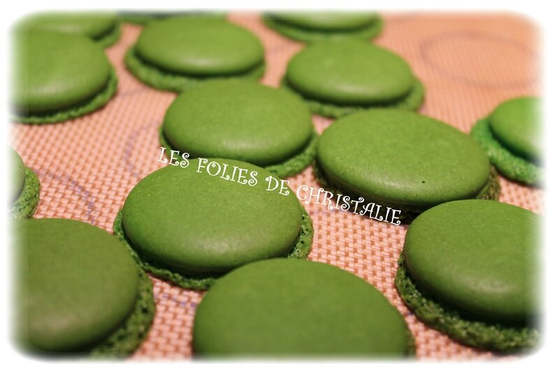 Macaron vanille 12