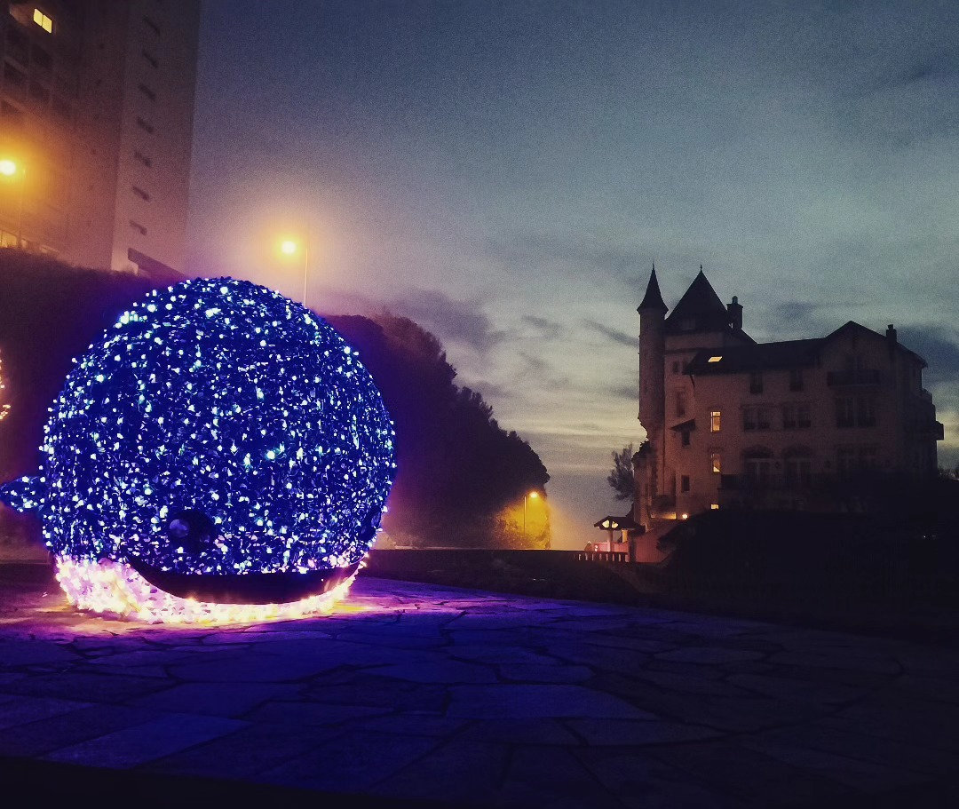 Biarritz, baleine et villa Belza 2023 (64)
