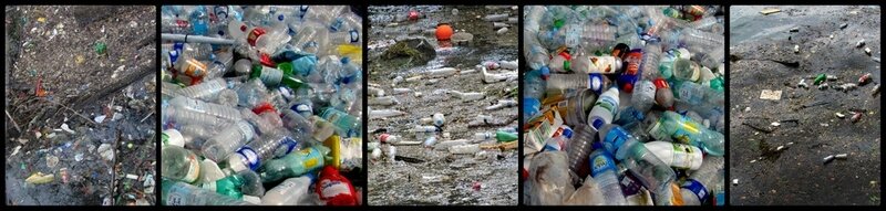 Bouteilles plastiques sur la Seine