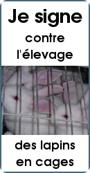 elevage_lapins_cages_signer_petition