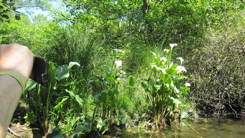 VIEUX BOUCAU 043