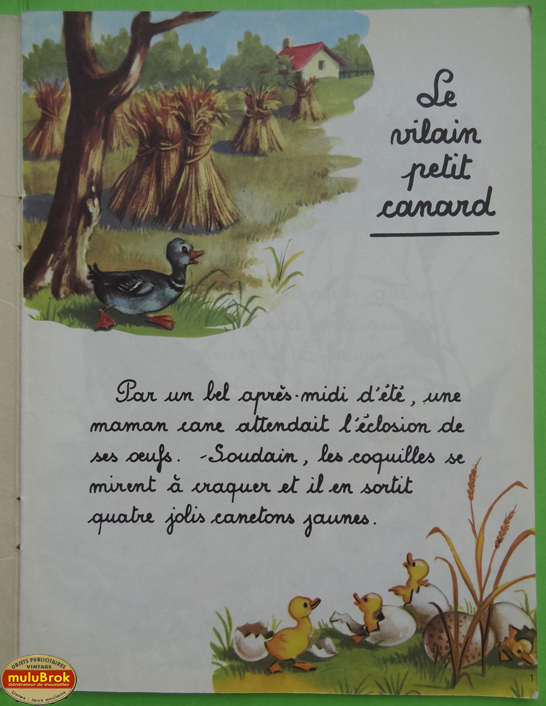 Le vilain petit canard (3)