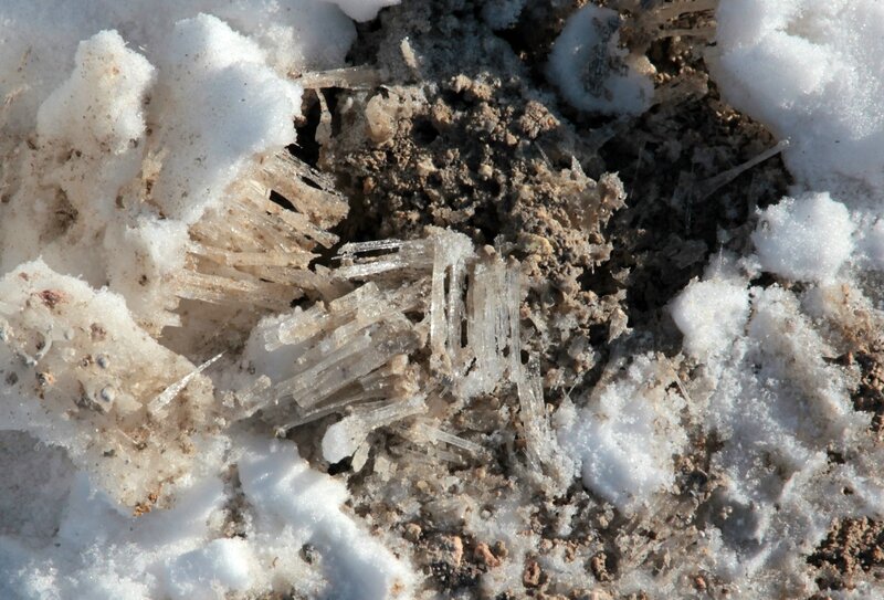 IceTrip 2