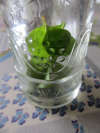 blog huile1