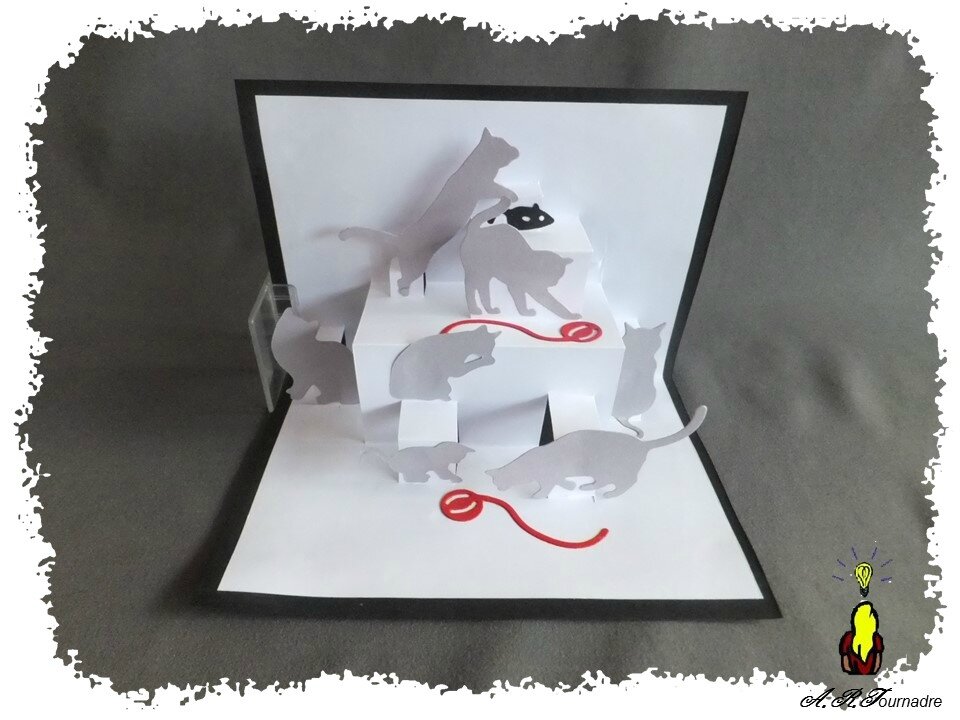 ART 2017 02 chats gris 2