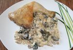 Poulet_gros_gris