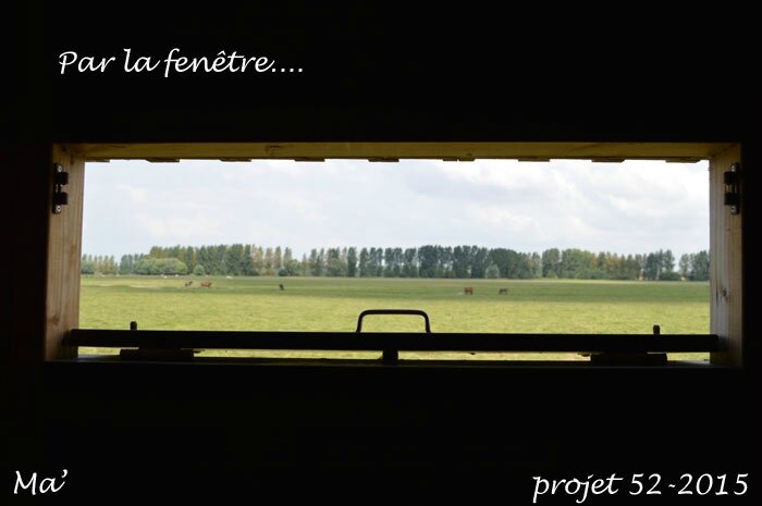 52-2015_S34_par-la-fenetre