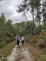 IMG_20210818_113615