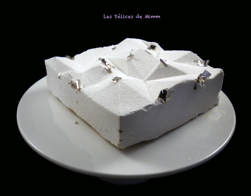 L'iceberg (entremets au gianduja) 2