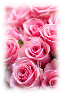 Tendre_maison8