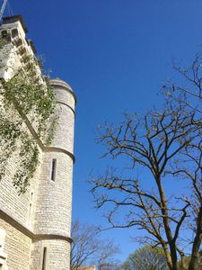 IMG_7679