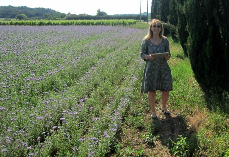 Provence 2016 062 [800x600]