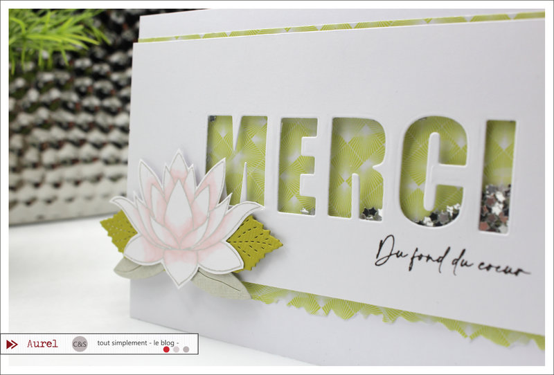 03 - 090322 - Carte Merci du fond du coeur - Shaker card Maryscrap #3